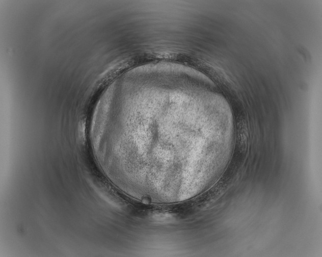 X0000112920262200909141318