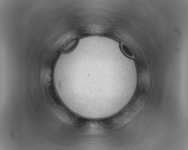 X0000112920264200909141318
