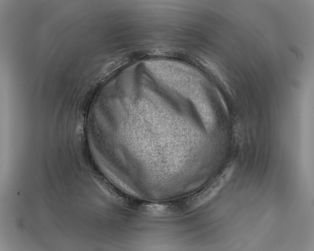 X0000112920265200909141318
