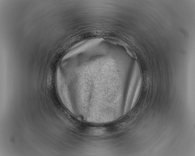 X0000112920266200909141318