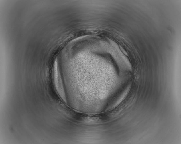 X0000112920270200909141318