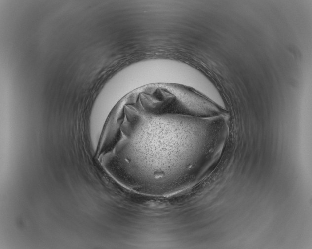 X0000112920272200909141319