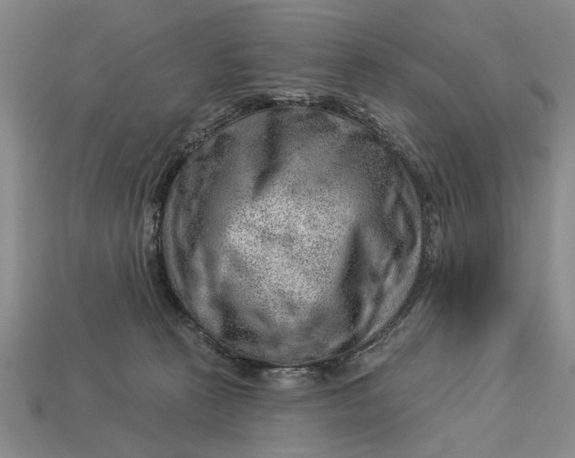 X0000112920273200909141319