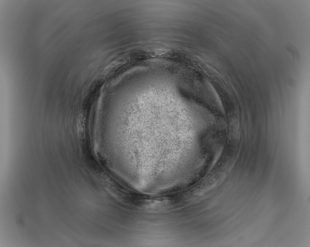 X0000112920274200909141319
