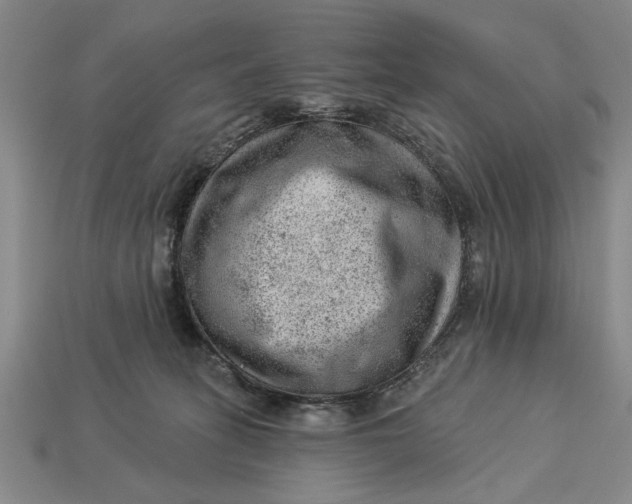 X0000112920275200909141319