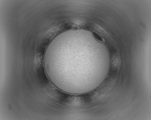 X0000112920276200909141319