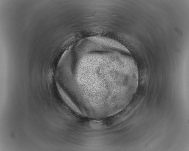 X0000112920279200909141319