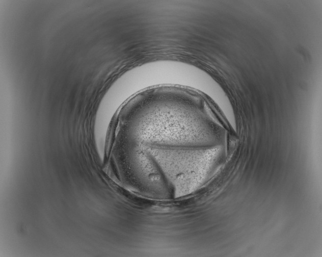 X0000112920280200909141319
