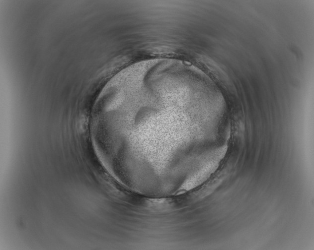 X0000112920281200909141319