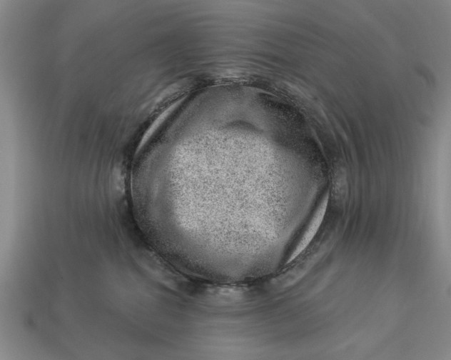 X0000112920282200909141319