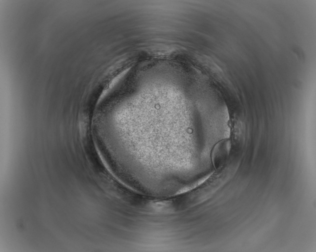 X0000112920283200909141319