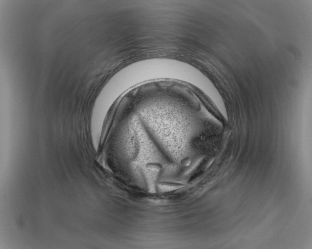 X0000112920284200909141319