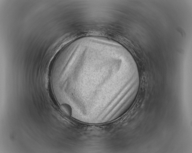 X0000112920290200909141318