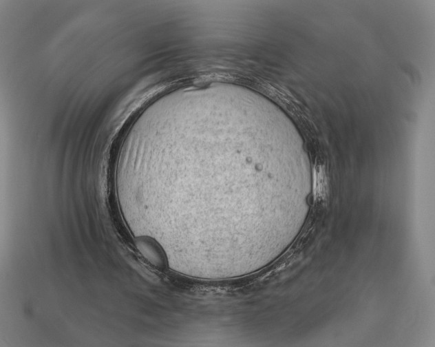 X0000112920291200909141318