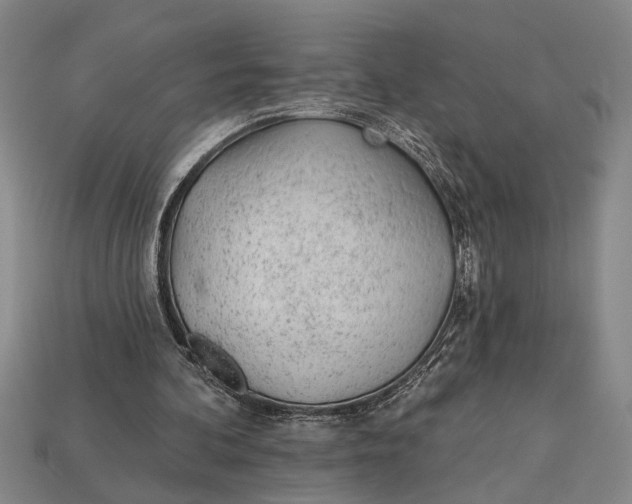 X0000112920292200909141318