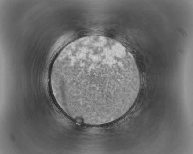 X0000112920293200909141318