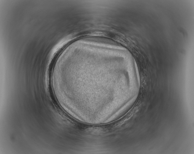 X0000112920294200909141318