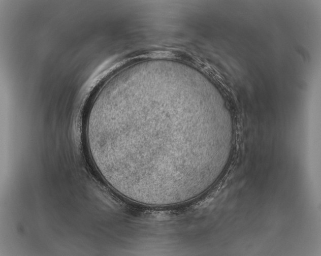 X0000112920295200909141318