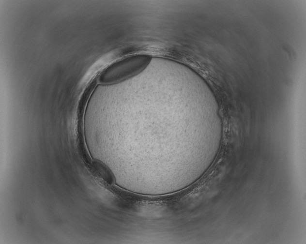X0000112920296200909141318