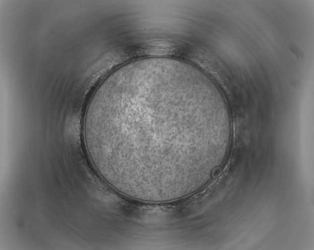 X0000112920297200909141318