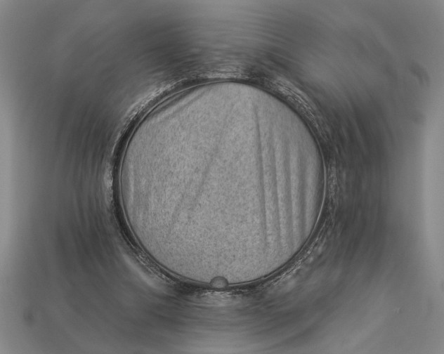 X0000112920298200909141318