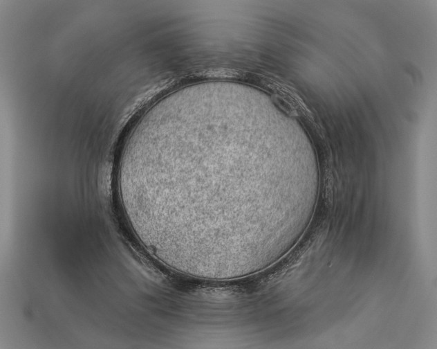 X0000112920299200909141318