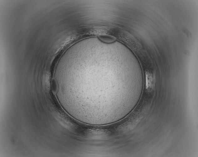 X0000112920300200909141318