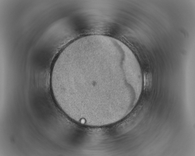 X0000112920301200909141318