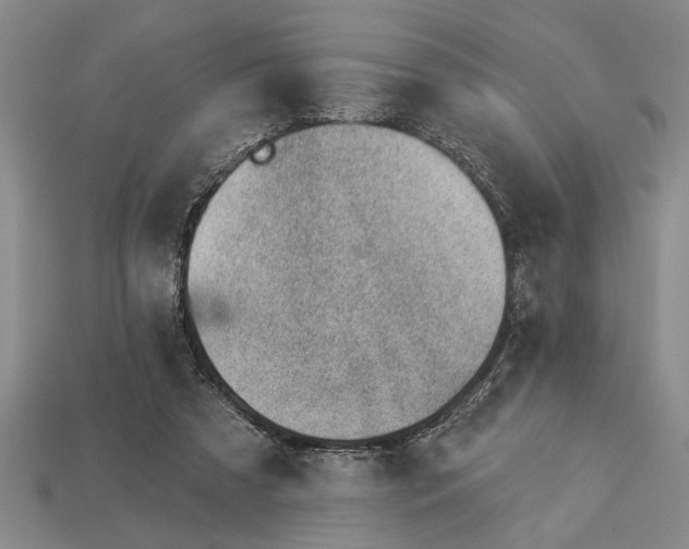 X0000112920305200909141318