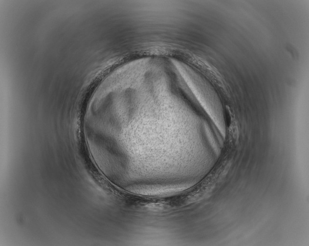 X0000112920306200909141318