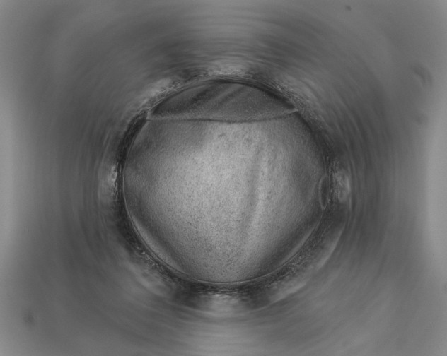 X0000112920308200909141318