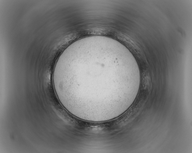 X0000112920310200909141318