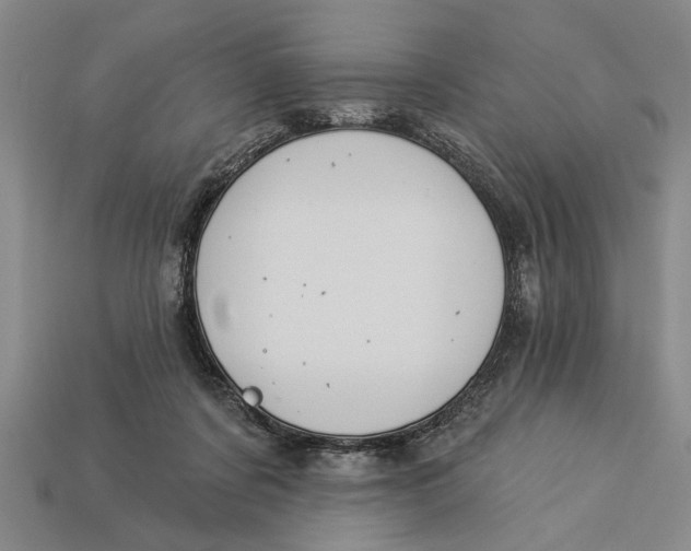 X0000112920311200909141318