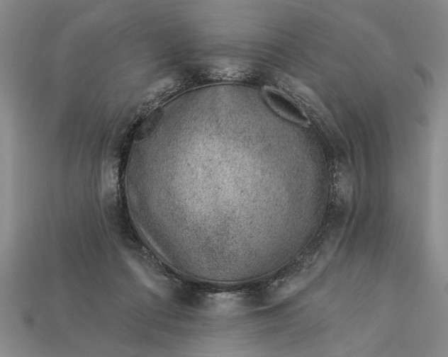 X0000112920312200909141318