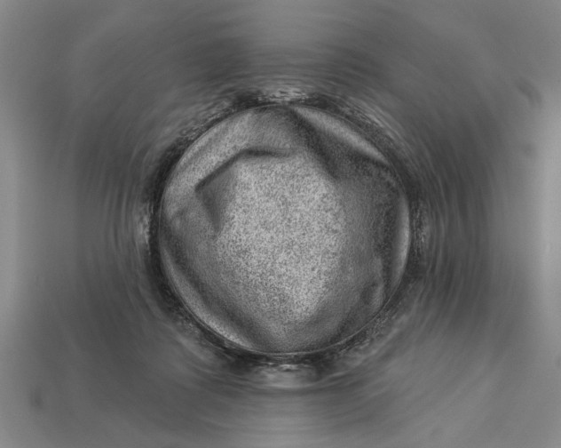 X0000112920315200909141318