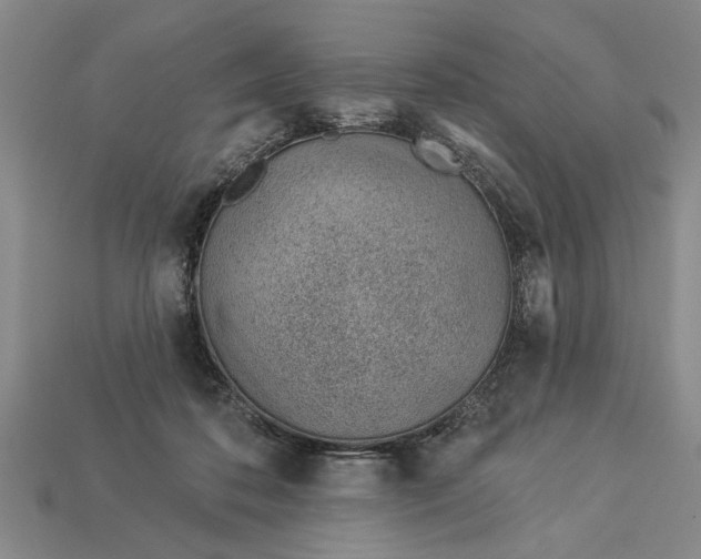 X0000112920316200909141318