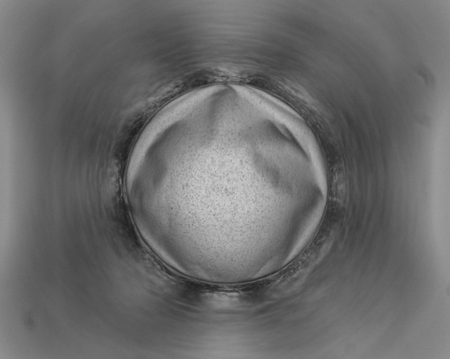 X0000112920318200909141318