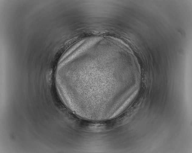X0000112920319200909141318