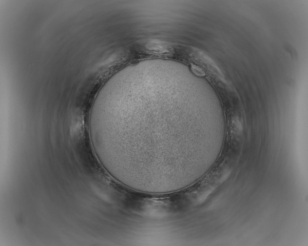 X0000112920320200909141318