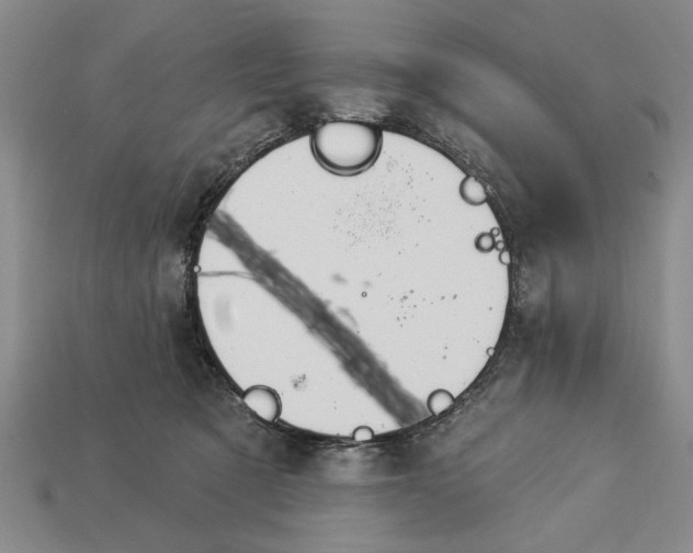 X0000112920321200909141318