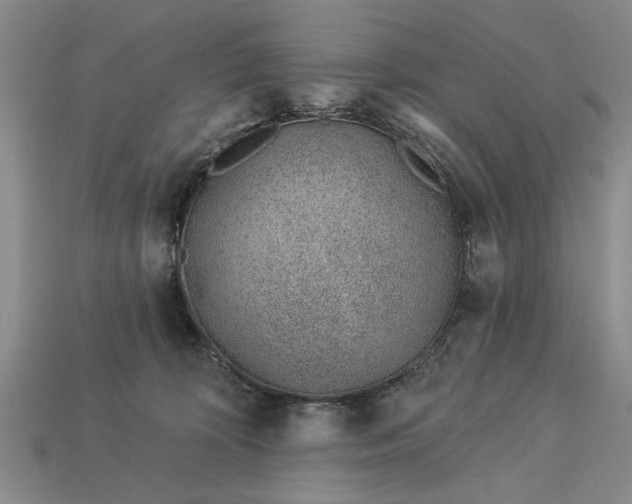 X0000112920324200909141318