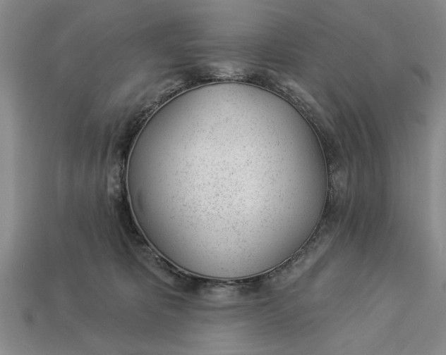 X0000112920325200909141318