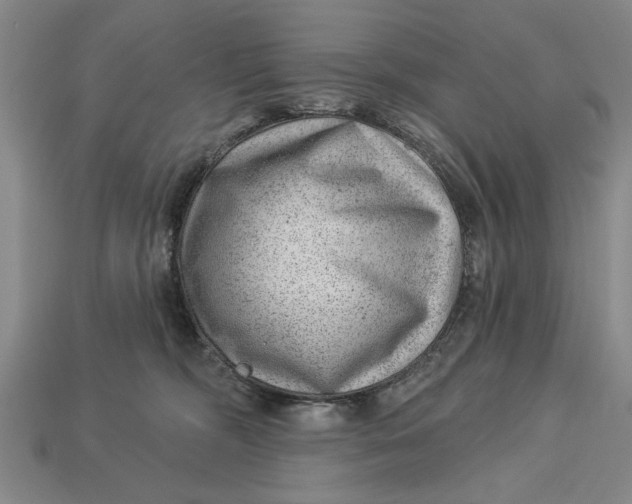 X0000112920326200909141318