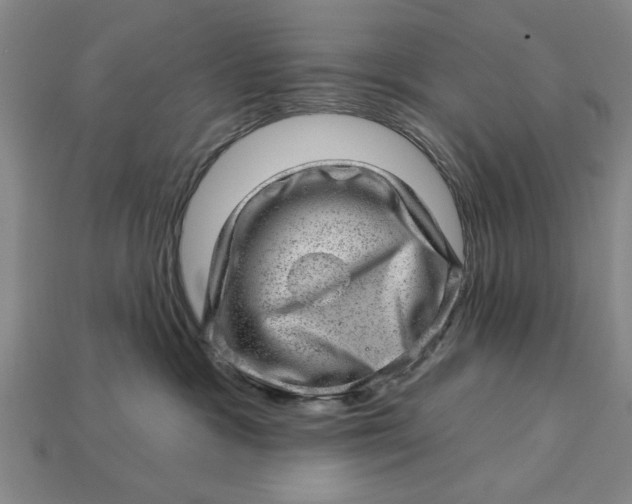 X0000112920333200909141318