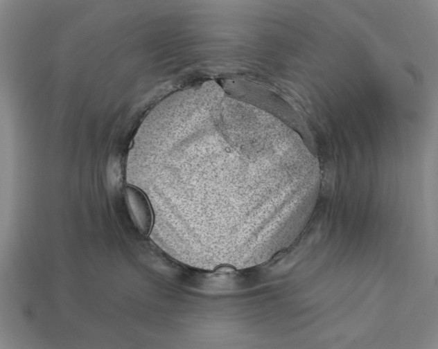 X0000112920335200909141318