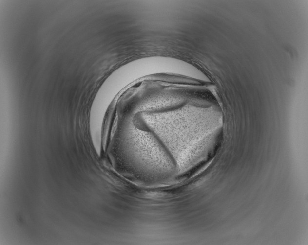 X0000112920336200909141318