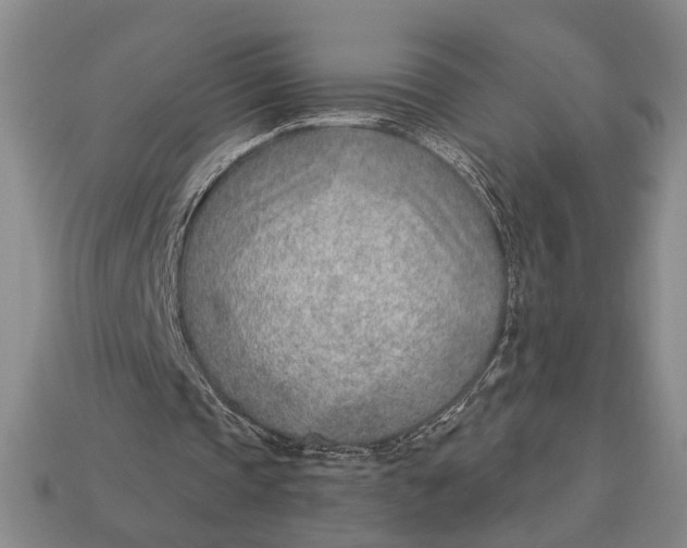 X0000112920337200909141317