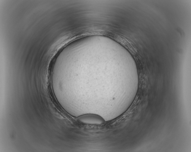 X0000112920338200909141317
