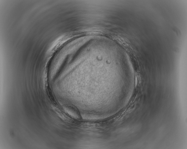 X0000112920339200909141317