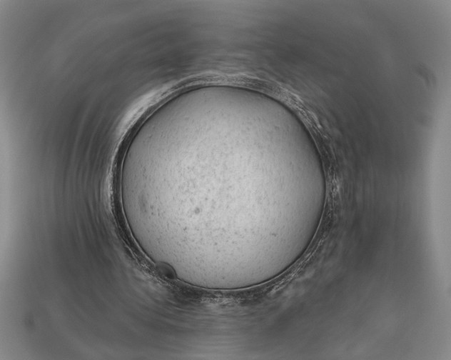 X0000112920340200909141317